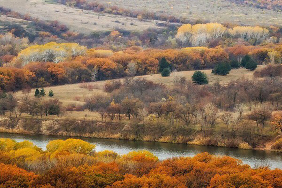 река дон осенью